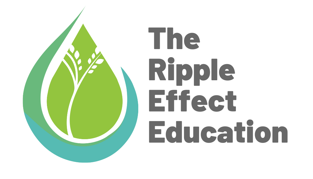 The Ripple Effect Education