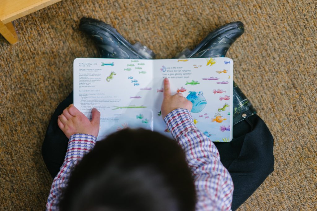 An overhead shot of a boy reading a picture book.