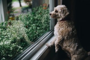 Reframing: How to Shift Your Perspective in Conflict