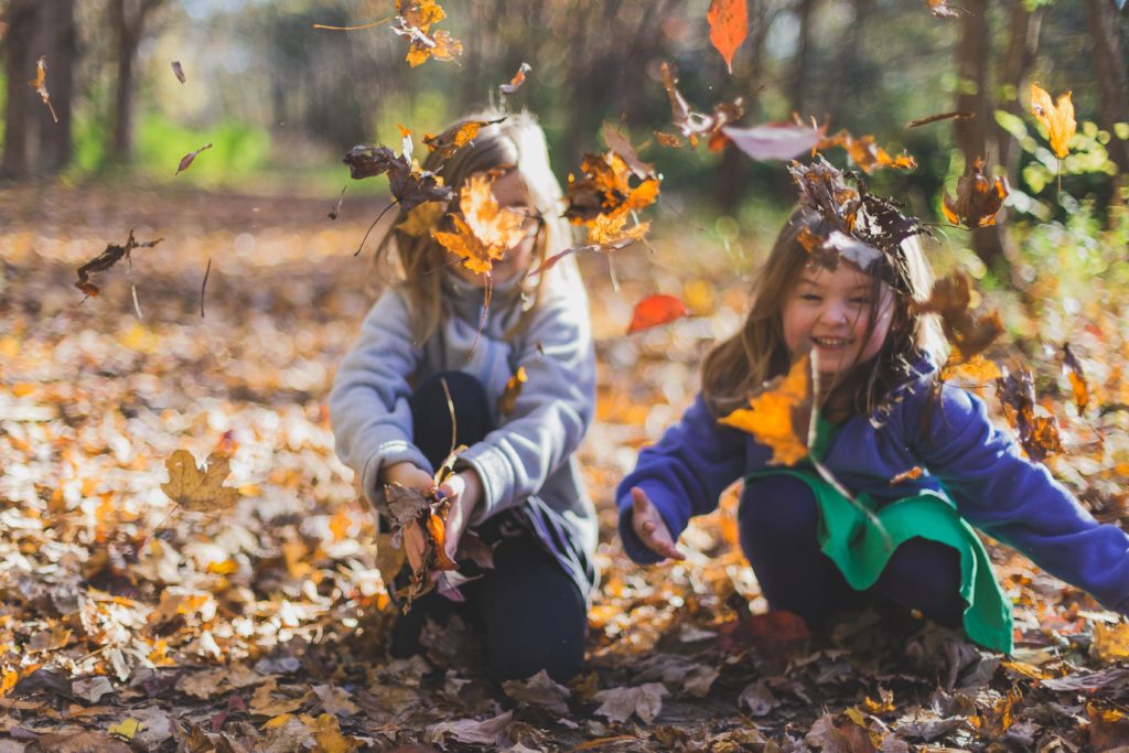 Two young children playing in the leaves.