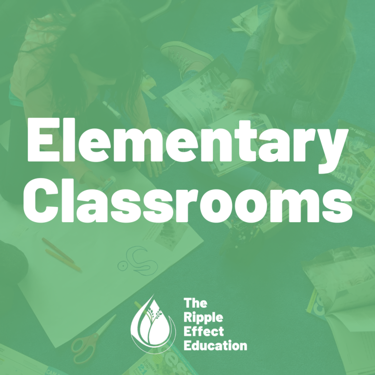 Elementary Classrooms